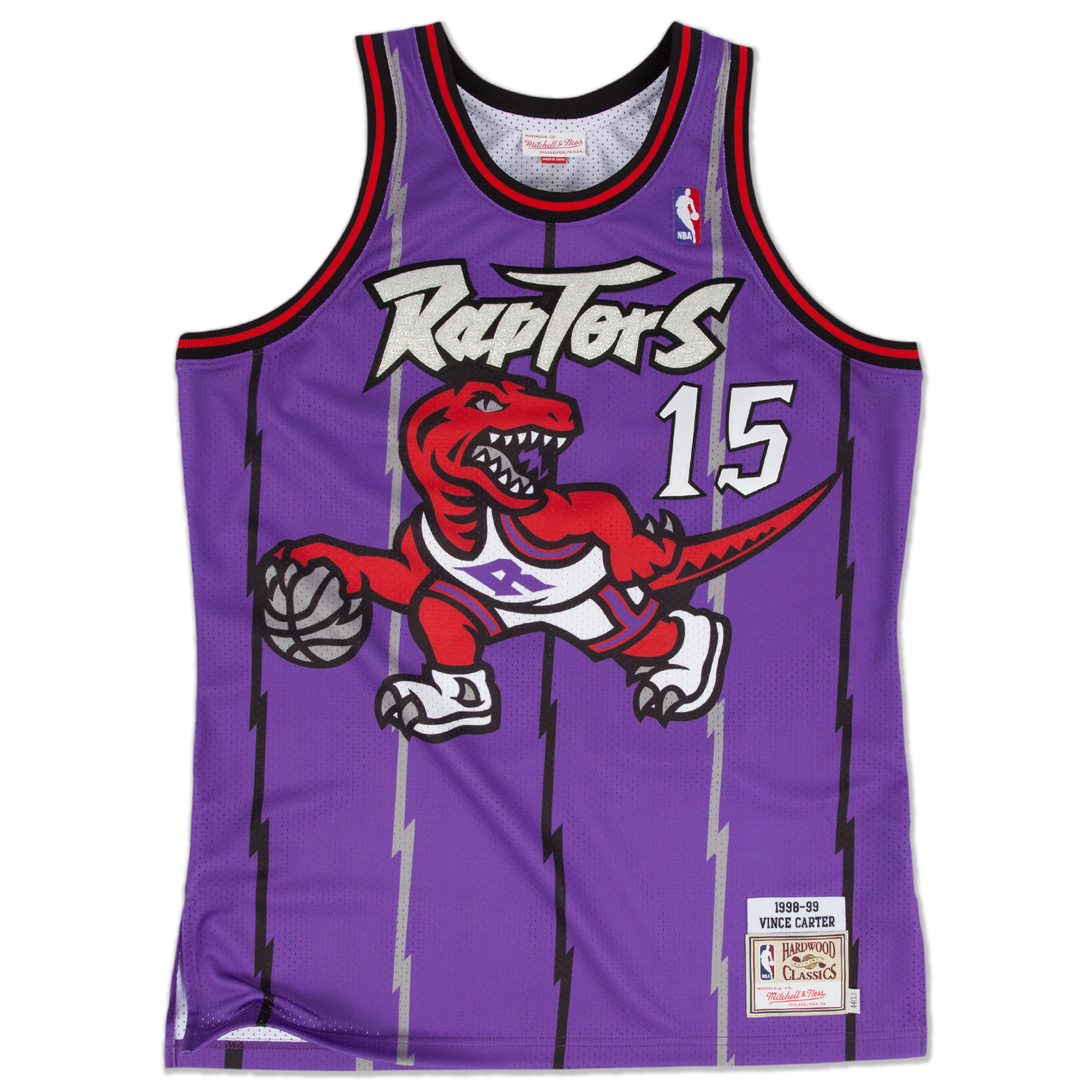 Raptors_95-99.jpeg