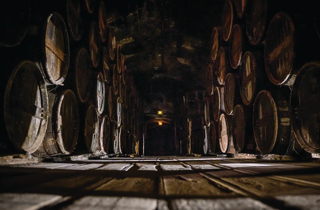 The cellar filled with cognac barrels PHOTO BY CHRISTOPHE MARIOT FOR D’USSÉ
